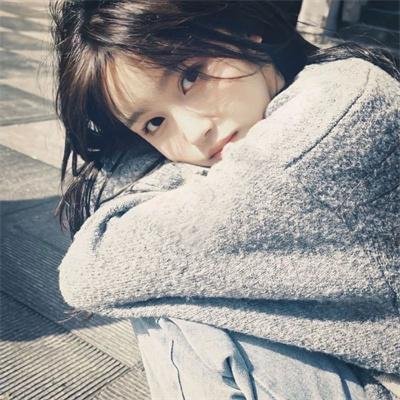 几度菊花香